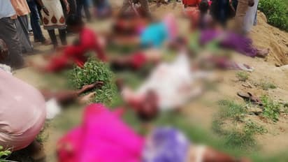 కొండగట్టు ప్రమాదం: 60 కోతులు చనిపోయిన రెండు రోజులకే  ఇలా....