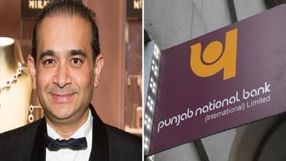 PNB scam: Interpol issues red-corner notice against Nirav Modi’s sister
