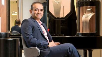 Nirav Modi-Mehul Choksi's PNB fraud: ED attaches jewellery, bank accounts worth Rs 637 crore