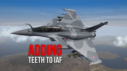 Rafale fighter planes will fill gaps in India's combat capabilities: IAF chief BS Dhanoa