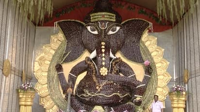 Video: Bengaluru gears up for Ganesh Chaturthi with enormous 2000kg laddu