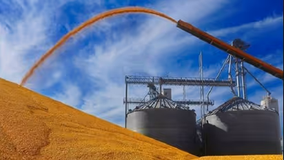 Government gives in-principle nod to ethanol projects, investment of Rs 41000 crore expected