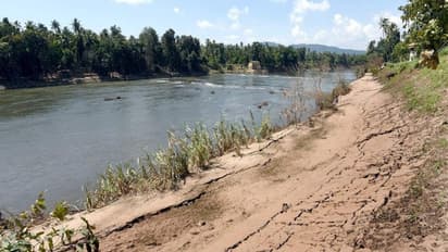 After floods, Kerala faces desert-like drought, with uprooted trees, dead earthworms