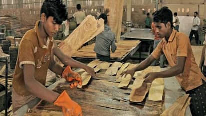 അതിഥി തൊഴിലാളികൾ കൂട്ടത്തോടെ മടങ്ങി, കേരളത്തിലെ പ്ലൈവുഡ് വ്യവസായം പ്രതിസന്ധിയിൽ