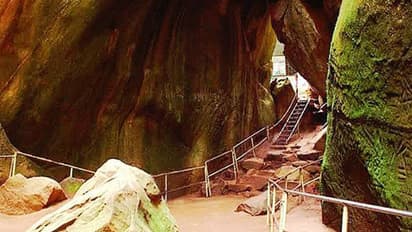 'എടക്കല്‍ ഗുഹ വില്‍പ്പന ചരക്കാക്കരുത്'; സംരക്ഷണം തേടി പ്രകൃതിസംരക്ഷണ സമിതി സുപ്രീംകോടതിയിലേക്ക്