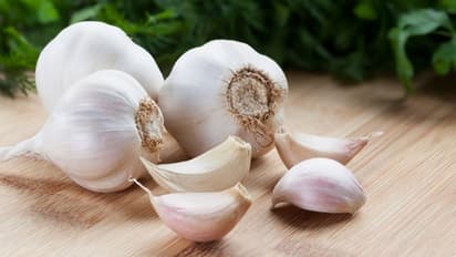 ದರ ಕುಸಿತ: ರಸ್ತೆಗೆ ಬೆಳ್ಳುಳ್ಳಿ ಚೆಲ್ಲಿ ರೈತರಿಂದ ಪ್ರತಿಭಟನೆ, ಸಂಕಷ್ಟದಲ್ಲಿ ಅನ್ನದಾತ