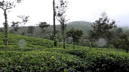 ഹാരിസണ് കേസിൽ സംസ്ഥാന സര്ക്കാരിന് തിരിച്ചടി;സര്ക്കാരിന്റെ ഹര്ജി സുപ്രീംകോടതിയും തള്ളി