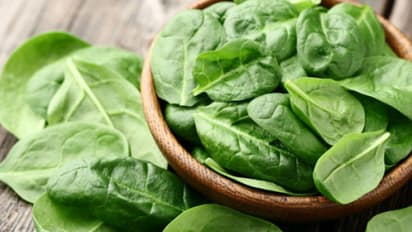 Health Tips : ক্যান্সার থেকে উচ্চ রক্তচাপ, প্রতিদিন পাতে রাখুন শীতের এই 'Superfood'