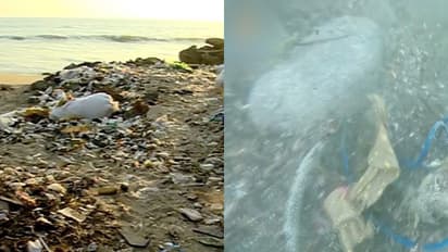 പ്രളയം ബാധിച്ചത് കരയെ മാത്രമല്ല; മഹാപ്രളയം കടലിനും ഭീഷണിയായി