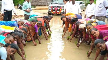 రోజా వినూత్న నిరసన..రోడ్డుపై వరి నాట్లు