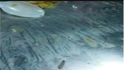 ప్రభుత్వాస్పత్రిలో దారుణం...రోగులకు పురుగులన్నం పంపిణీ