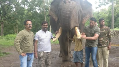 ದರ್ಶನ್ ತೆಗೆದ ವೈಲ್ಡ್ ಲೈಫ್ ಫೋಟೋ ಬೆಲೆಯೆಷ್ಟು ಗೊತ್ತಾ ?