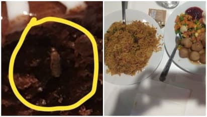 பூச்சிகளுடன் கேக் விற்பனை: பிரபல ஹோட்டலுக்கு சென்ற வாடிக்கையாளருக்கு அதிர்ச்சி