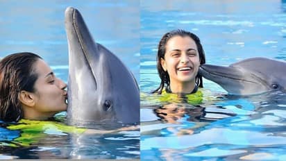 நீச்சல் குளத்தில் டால்ஃபினுடன் ஃபோட்டொ! புது சர்ச்சையில் சிக்கிய திரிஷா;