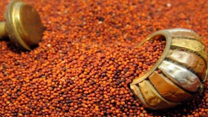 ಆ್ಯಂಟಿ ಏಜಿಂಗ್- ವೇಯಿಟ್ ಲಾಸ್: ರಾಗಿ ಎಂಬ ಸೂಪರ್ ಫುಡ್!