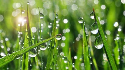 इस साल सर्दी पड़ेगी ज्यादा, किसानों को होगा फायदा