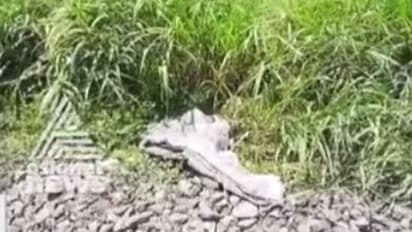 തൃശൂരില് റെയില്വേ മേല്പാലത്തിനു താഴെ ഒന്നരവയസുള്ള പെണ്കുട്ടിയുടെ മൃതദേഹം കണ്ടെത്തി