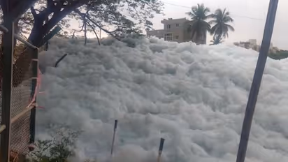 NGT slaps Karnataka government with Rs 50 crore fine for failing to protect lakes