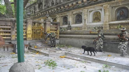 बोधगया मंदिर में हुए धमाकों के रोहिंग्या से जुड़े तार, जानिए क्या कनेक्शन है दोनों में