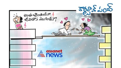 కార్టూన్ పంచ్: వివాహేతర సంబంధం నేరం కాదు - సుప్రీం కోర్టు