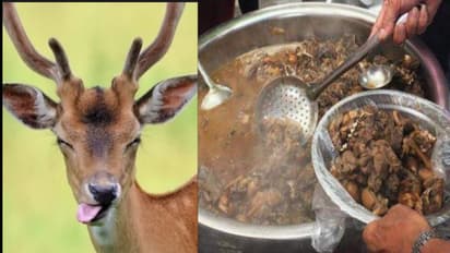 ಜಿಂಕೆ ಕೊಂದು ತಿಂದ ಇಬ್ಬರ ಬಂಧನ..!