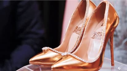 ഒരു ചെരുപ്പിന്റെ വില 1.70 കോടി ഡോളര്; കാരണം ഇതാണ്