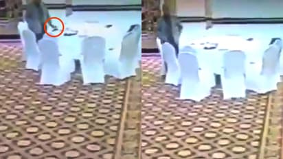 कैमरे में कैद हुई पाकिस्तानी अधिकारी की गंदी हरकत, कुवैती अधिकारी की शिकायत पर हुआ गिरफ्तार