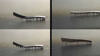 ശരീരത്തിനകത്ത് അങ്ങോട്ടുമിങ്ങോട്ടും ഓടിനടക്കുന്ന ഒരു പുഴു!