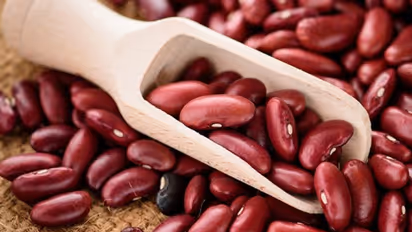 Weight Loss : ശരീരത്തില് നിന്ന് കൊഴുപ്പ് നീക്കം ചെയ്ത് മെലിയാം ; കഴിക്കേണ്ട ഭക്ഷണങ്ങള്...