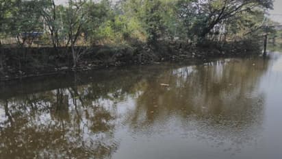 കനോലി കനാലിലേക്കടക്കം ചളിവെള്ളം ഒഴുക്കിയ കൺസ്ട്രക്ഷൻ കമ്പനികൾക്കെതിരെ നടപടി