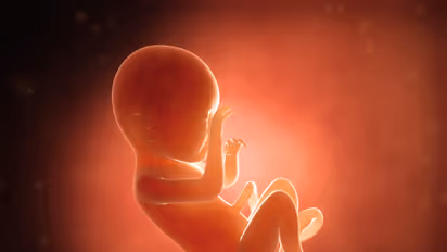 பாலியல் வன்கொடுமைக்கு ஆளான சிறுமியின் 28 வார கருவை கலைக்க அனுமதி.. நீதிமன்றம் பிறப்பித்த அதிர்ச்சி உத்தரவு.!