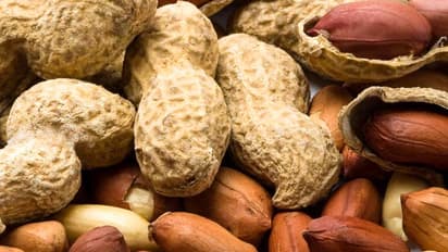 പ്രമേഹരോ​ഗികൾക്ക് നിലക്കടല കഴിക്കാമോ...?