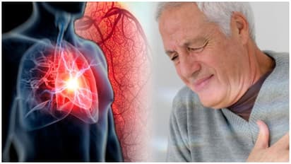 Heart Diseases Risk : హార్ట్ ప్రాబ్లమ్స్ ఇందుకే వస్తున్నాయట.. షాకింగ్ విషయాలను వెళ్లడించిన నిపుణులు