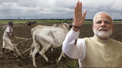 त्योहारों के मौसम में सरकार ने दिया किसानों को उपहार