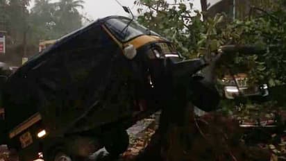 ശക്തമായ കാറ്റ്; ചാലക്കുടിയില് അഞ്ച് കോടിയുടെ നാശനഷ്ടം