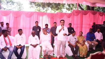 అందులోనే పోటీ: హరీష్తో ప్రచారం చేయించుకున్న కేటీఆర్ (వీడియో)