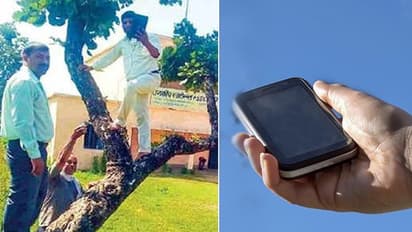 ഈ അധ്യാപകർ രാവിലെ സ്കൂളിലെത്തുന്നത് മരത്തിൽ കയറാനാണ്