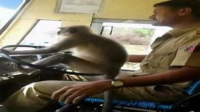 ಪಾಕಿಸ್ತಾನದಲ್ಲೂ ನಮ್ ದಾವಣಗೆರೆ ಕೋತಿ ಫುಲ್ ಫೇಮಸ್ಸು!