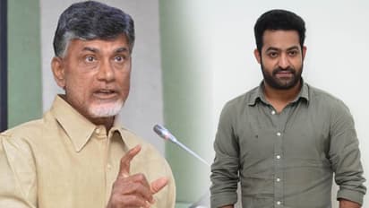 అరవింద సమేతపై చంద్రబాబు ప్రేమ: జూ.ఎన్టీఆర్ పై సాఫ్ట్