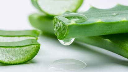 ಬೇಸಿಗೆಯಲ್ಲಿ ತುರಿಕೆ ಮತ್ತು ದದ್ದು ನಿವಾರಣೆ ಮಾಡಲು ಮನೆಮದ್ದುಗಳಿವು!