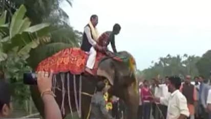 ఏనుగు మీద నుంచి జారిపడ్డ డెప్యుటీ స్పీకర్..వీడియో వైరల్