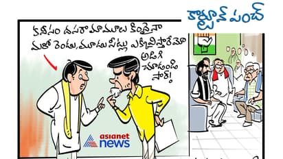 కార్టూన్ పంచ్