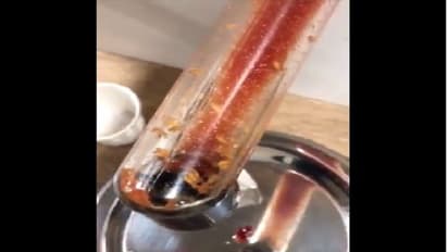 ಮ್ಯಾಕ್ ಡೋನಾಲ್ಡ್ ಕೆಚಪ್‌ನಲ್ಲಿ ಹುಳ: ವಿಡಿಯೋ!