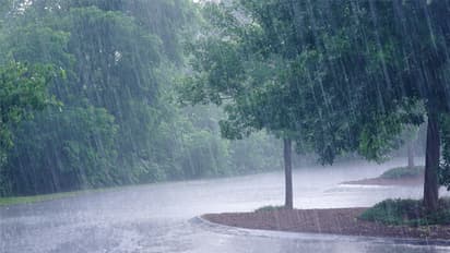 அய்யய்யோ... தமிழக மக்களுக்கு எச்சரிக்கை.. 15 தேதி வரைக்கும் நிலைமை ரொம்ப டேஞ்சர்.. பார்த்து அலர்டா இருங்க.