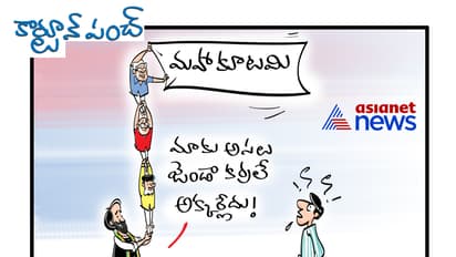 కార్టూన్ పంచ్