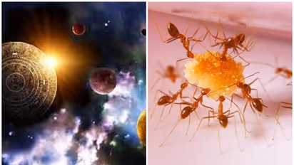 7 தலைமுறை பாவங்களை நீக்கும் "இந்த ஒரே ஒரு பொருள்"..! ஏழரை சனி கூட நெருங்க விடாத அதிசயம்..!