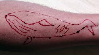 ‘‘బ్లూవేల్’’ భూతానికి మరో బలి..కర్ణాటకలో చిన్నారి ఆత్మహత్య