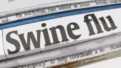 महाराष्ट्र पर स्वाइन फ्लू का कहर