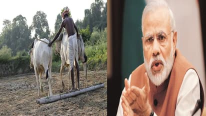 ಫೆ.1ರೊಳಗೆ ರೈತರಿಗೆ ಭರ್ಜರಿ ಪ್ಯಾಕೇಜ್?