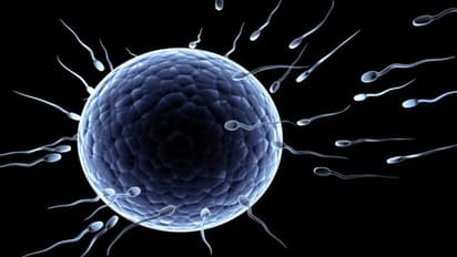 പുരുഷന്മാരുടെ ശ്രദ്ധയ്ക്ക്; നിങ്ങളില്‍ ബീജത്തിന്റെ അളവ് കുറയുന്നതിന്റെ കാരണങ്ങള്‍...